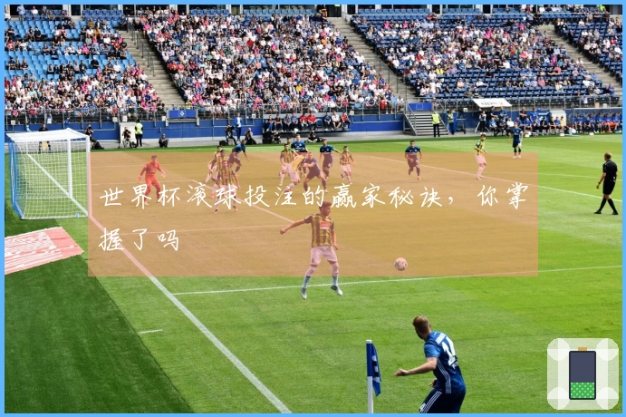 世界杯滚球投注的赢家秘诀，你掌握了吗