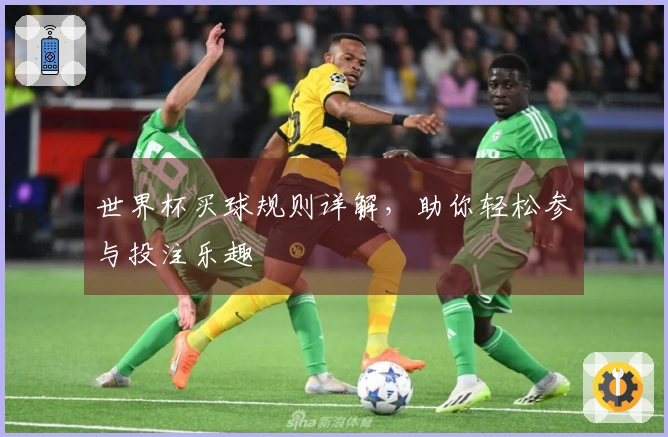 世界杯买球规则详解，助你轻松参与投注乐趣