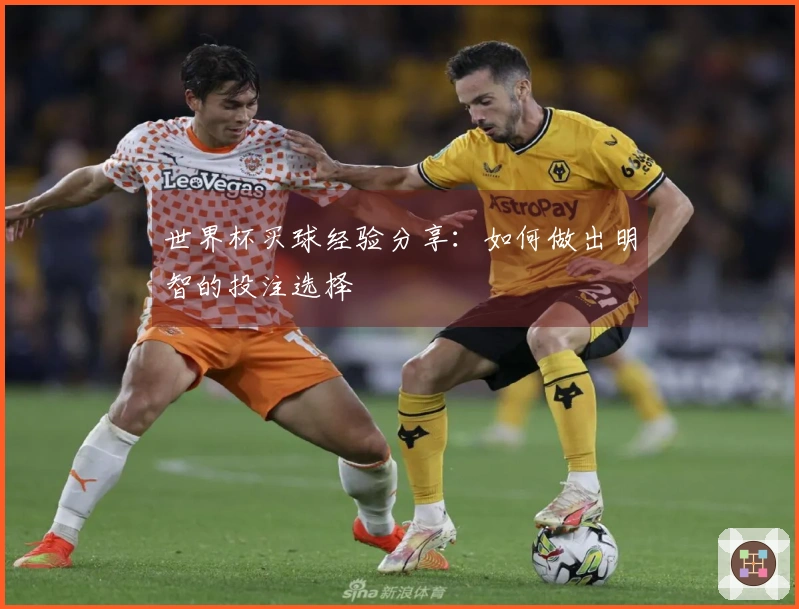 世界杯买球经验分享：如何做出明智的投注选择