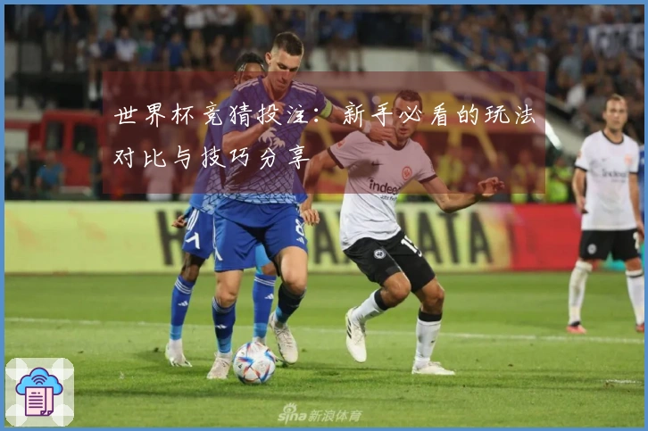 世界杯竞猜投注：新手必看的玩法对比与技巧分享