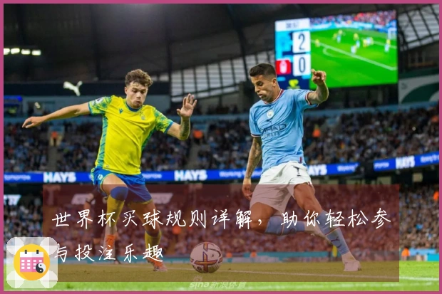 世界杯买球规则详解，助你轻松参与投注乐趣