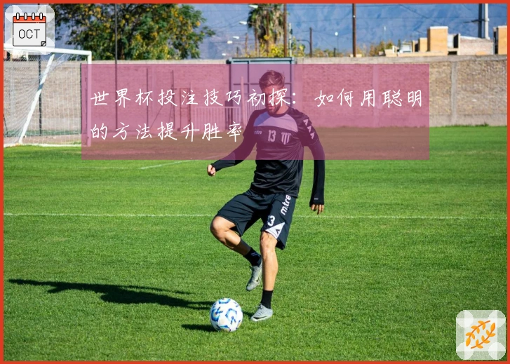 世界杯投注技巧初探：如何用聪明的方法提升胜率